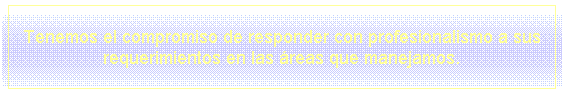 Cuadro de texto: Tenemos el compromiso de responder con profesionalismo a sus requerimientos en las reas que manejamos.
