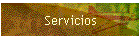 Servicios